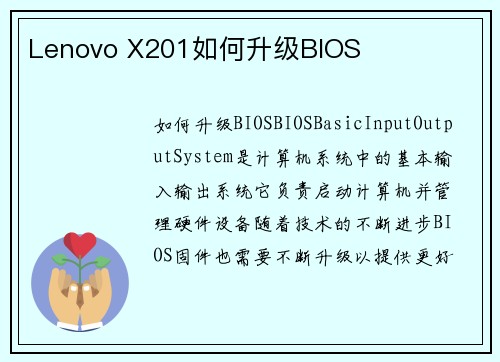 Lenovo X201如何升级BIOS