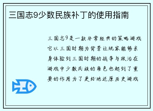 三国志9少数民族补丁的使用指南